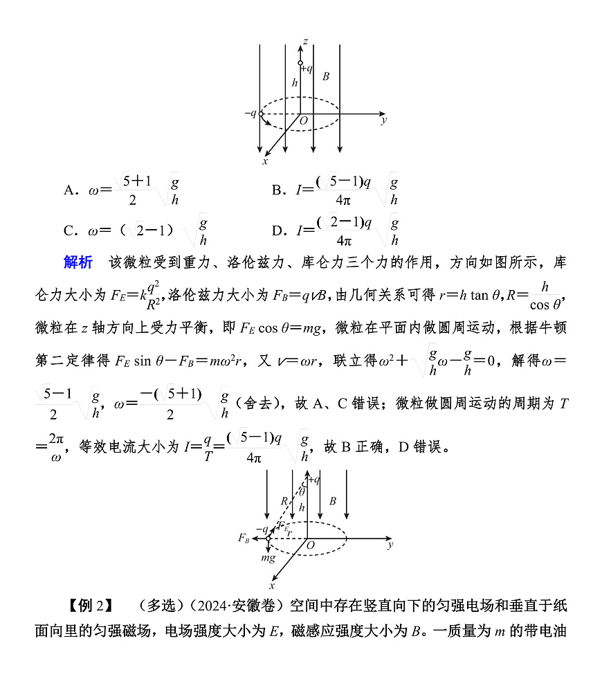 第63课时　专题22：带电粒子在叠加场中的运动第2页