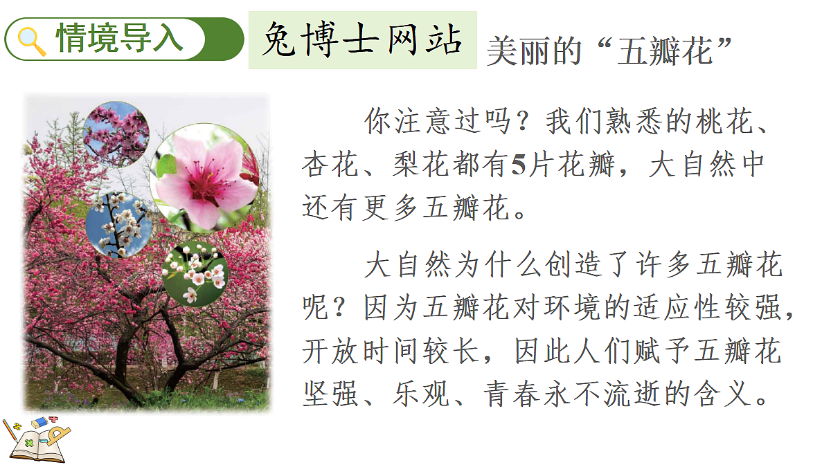 17388577第2页