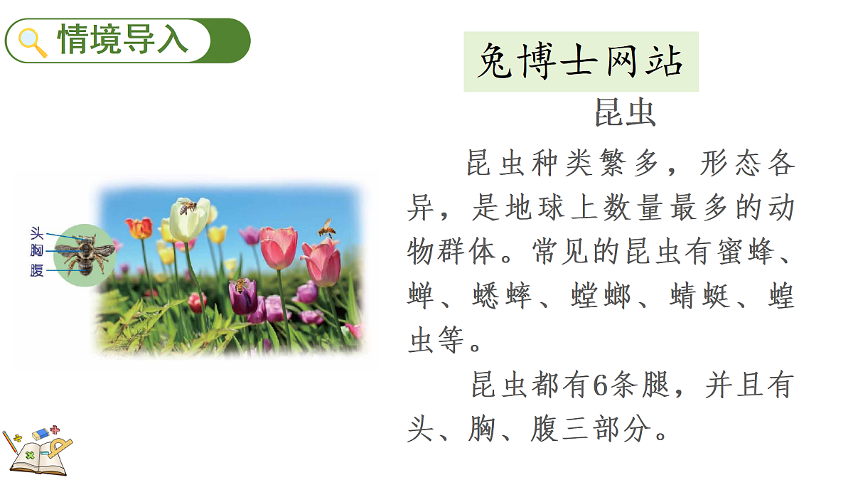 17388580第2页
