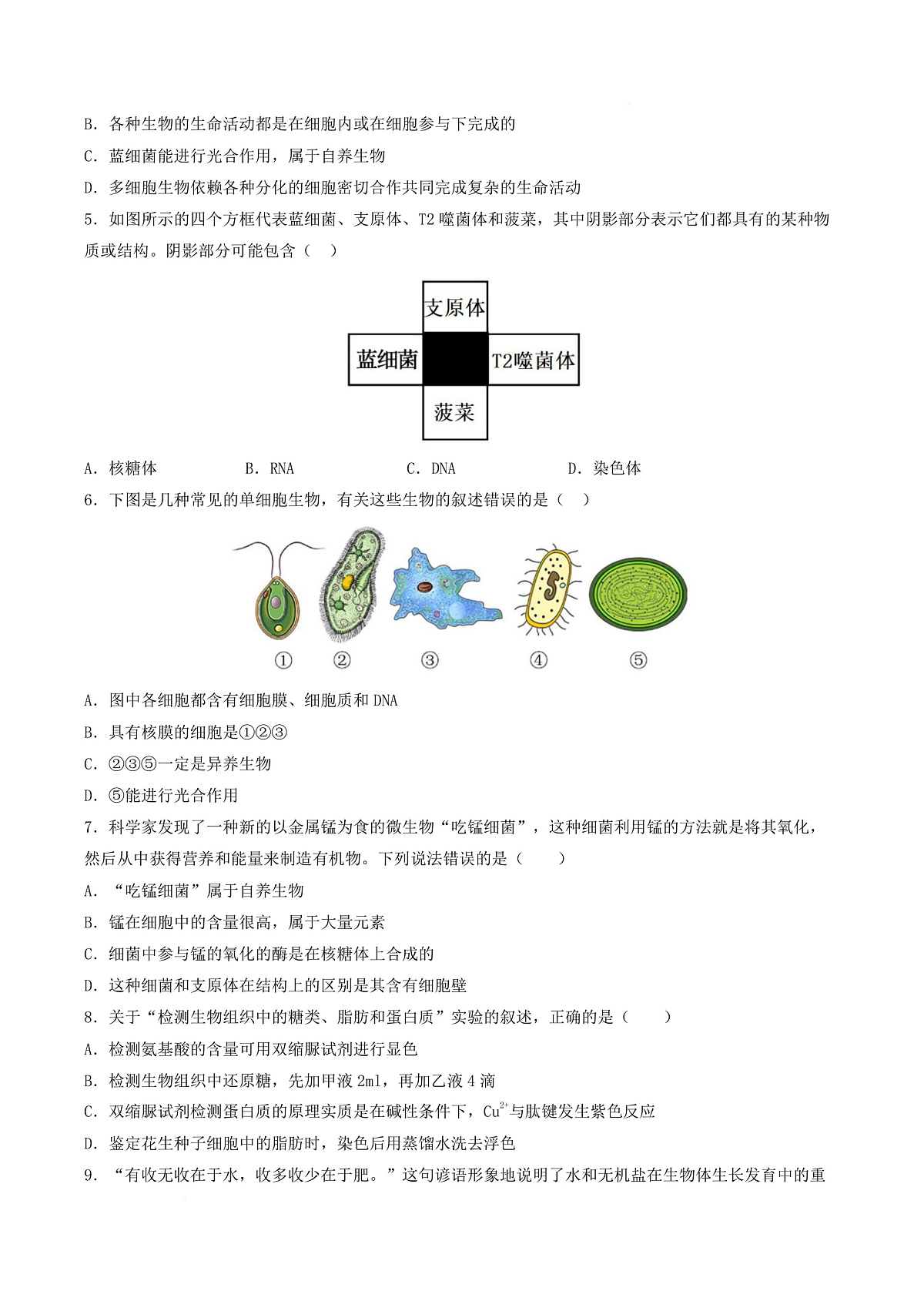 高一生物上学期第一次月考（山东专用） 【测试范围：人教版2019必修1第1章~第2章】（考试版）第3页