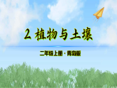 2《植物与土壤》（课件）科学二年级上册（青岛版2024）