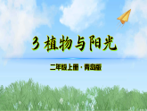 3《植物与阳光》（课件）科学二年级上册（青岛版2024）