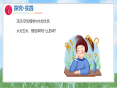 4《植物与水》（课件）科学二年级上册（青岛版2024）