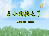 8《小狗换毛了》（课件）科学二年级上册（青岛版2024）