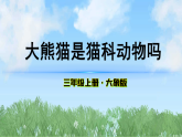 体验单元《大熊猫是猫科动物吗》（课件）科学三年级上册（大象版2024）