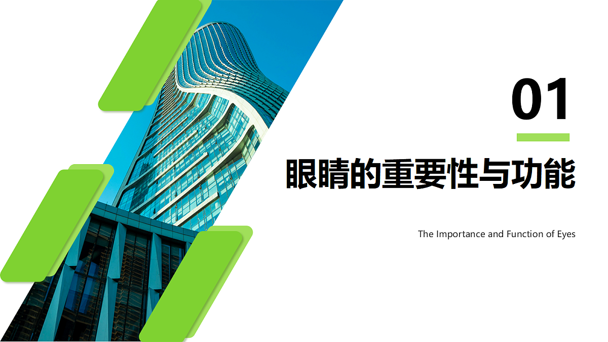 17389685第5页