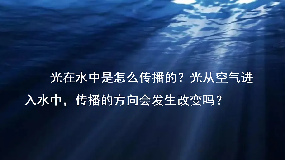 17390439第3页