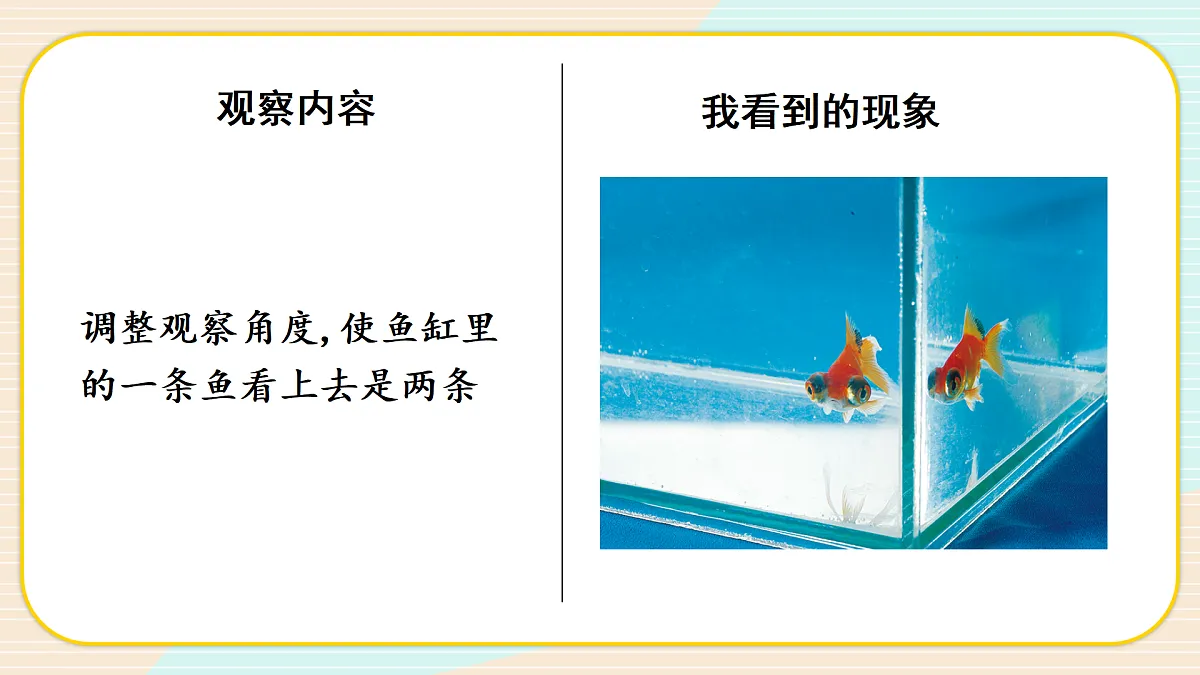 17390439第7页