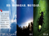教科版五年级科学上册课件《1.1 有关光的思考》