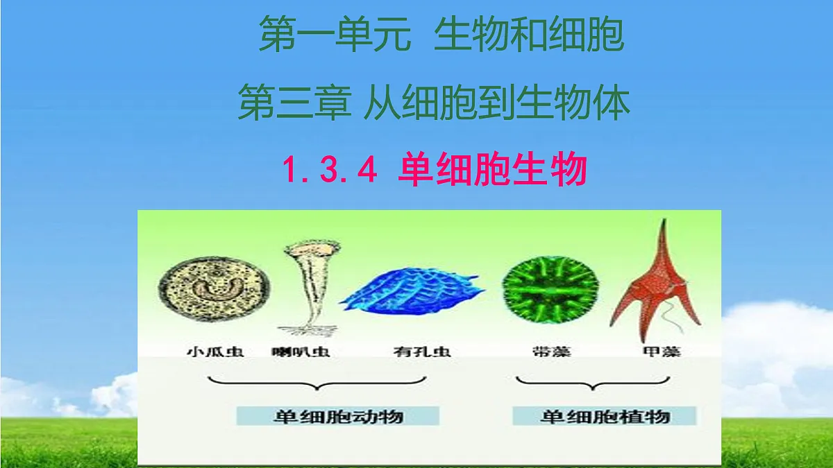 17390475第1页