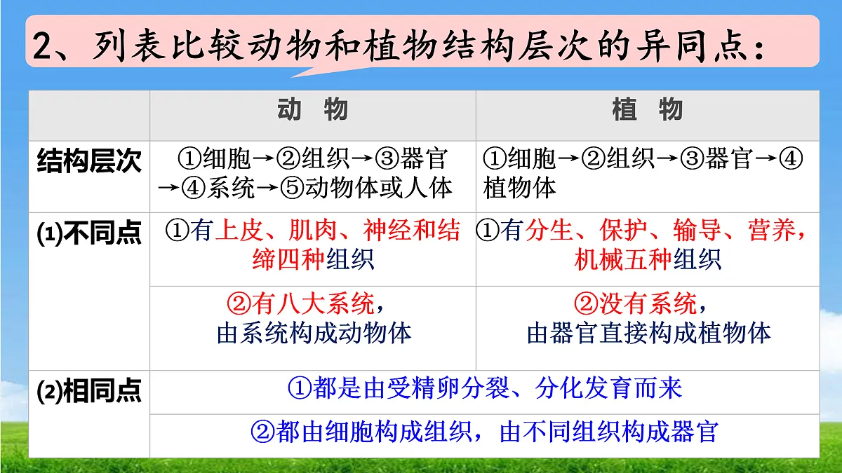 17390475第3页