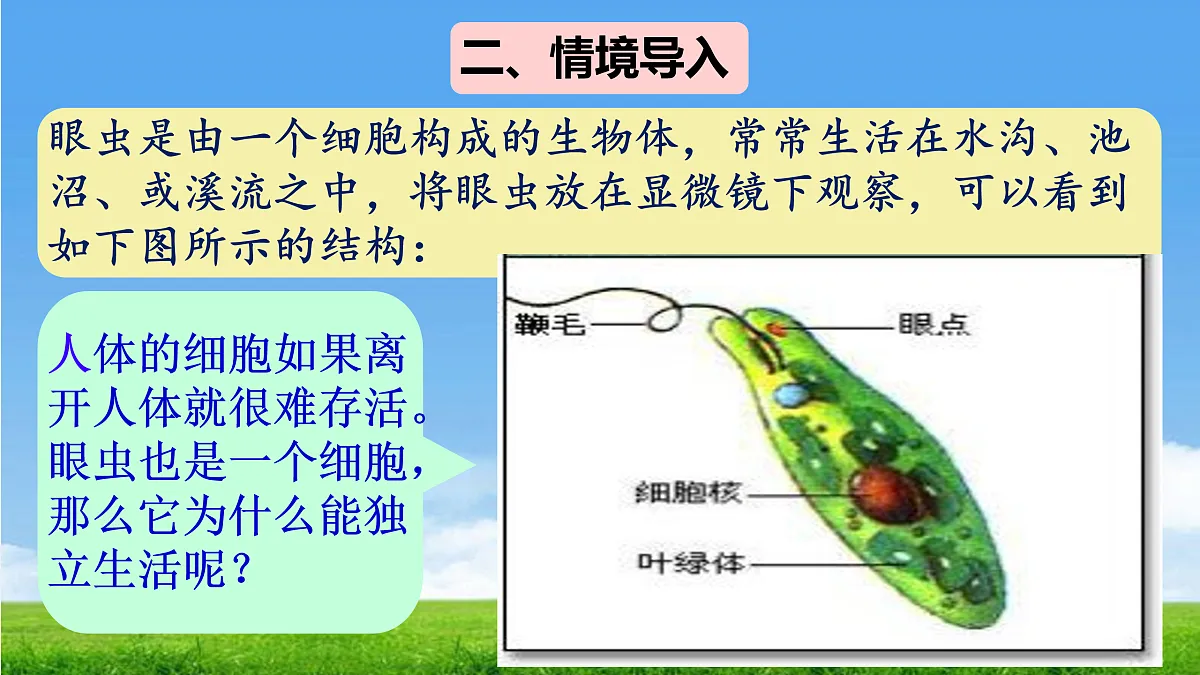 17390475第4页
