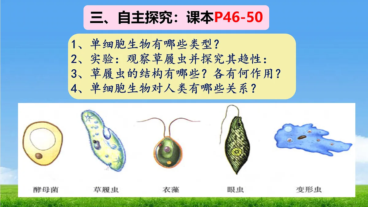17390475第5页
