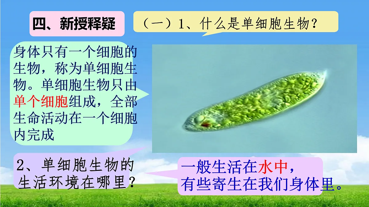 17390475第6页