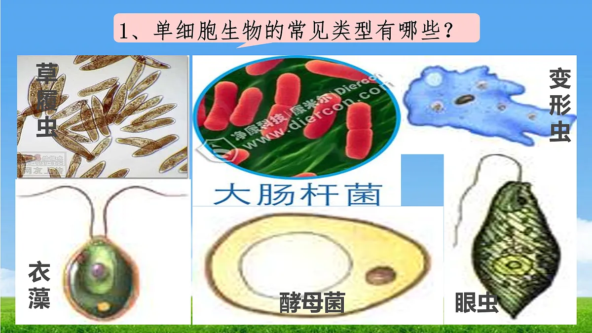 17390475第7页