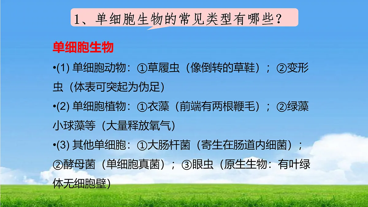 17390475第8页