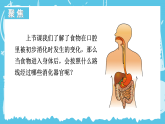 教科版四年级科学上册课件《2.8 食物在身体里的旅行》
