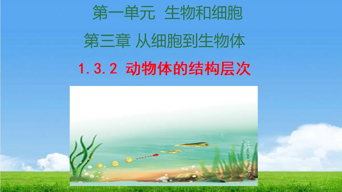 17390490第1页