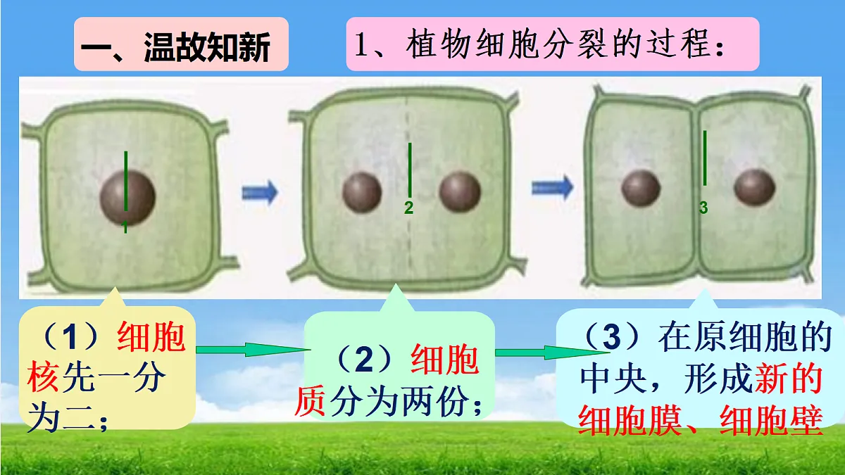 17390490第2页