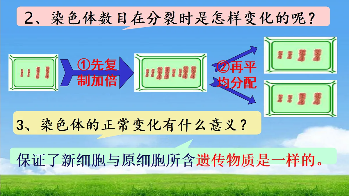 17390490第3页