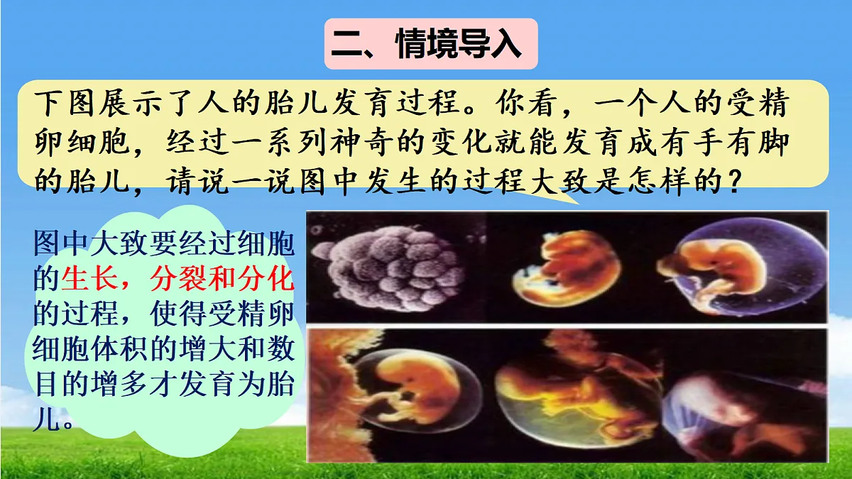 17390490第4页