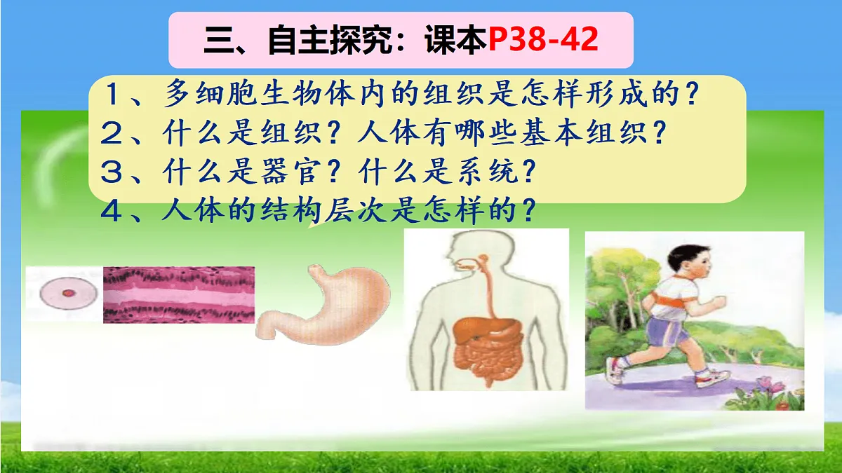 17390490第5页