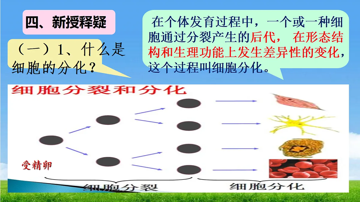 17390490第6页