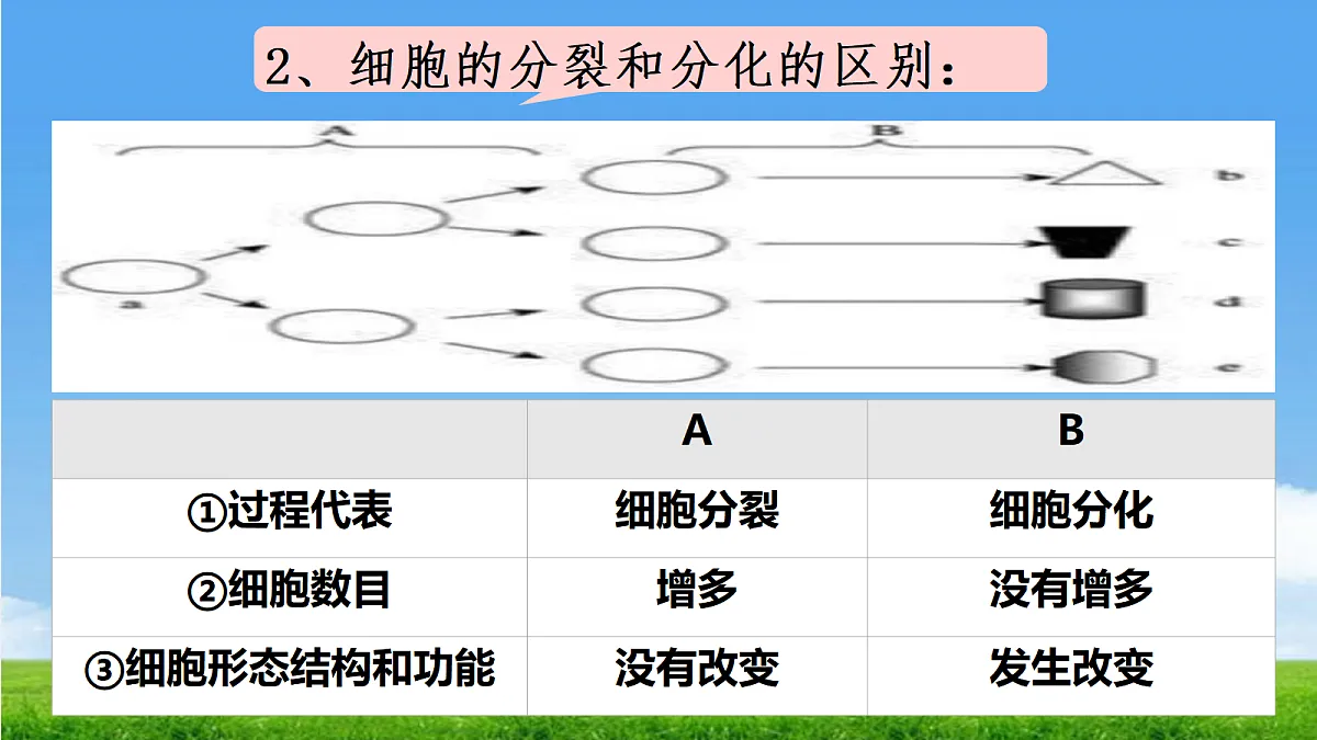 17390490第7页