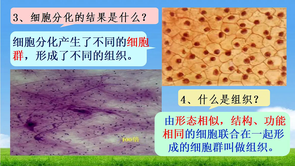 17390490第8页