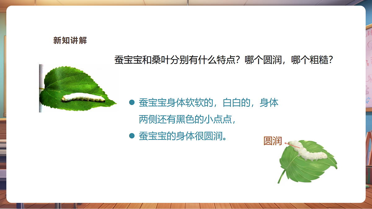 【湘版】美术一年级上册第四单元1桑叶和蚕宝宝课时课件第7页