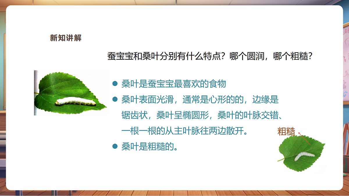 【湘版】美术一年级上册第四单元1桑叶和蚕宝宝课时课件第8页