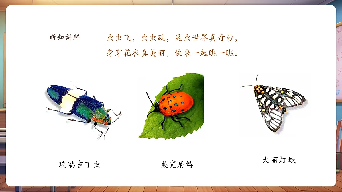 【湘版】美术一年级上册第四单元2寻找昆虫课时课件第3页