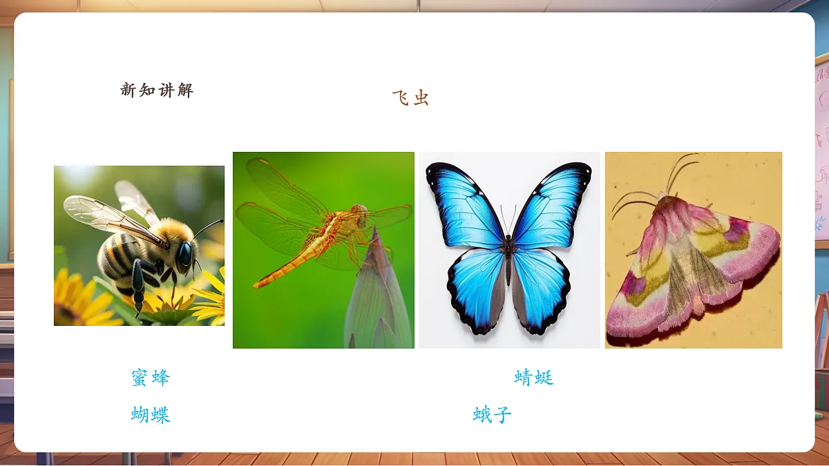 【湘版】美术一年级上册第四单元2寻找昆虫课时课件第4页