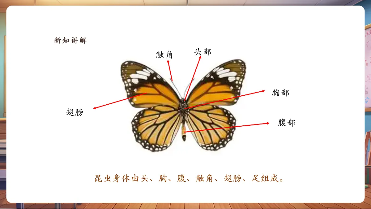 【湘版】美术一年级上册第四单元2寻找昆虫课时课件第6页