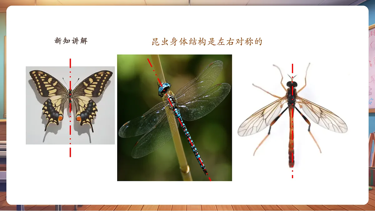【湘版】美术一年级上册第四单元2寻找昆虫课时课件第8页