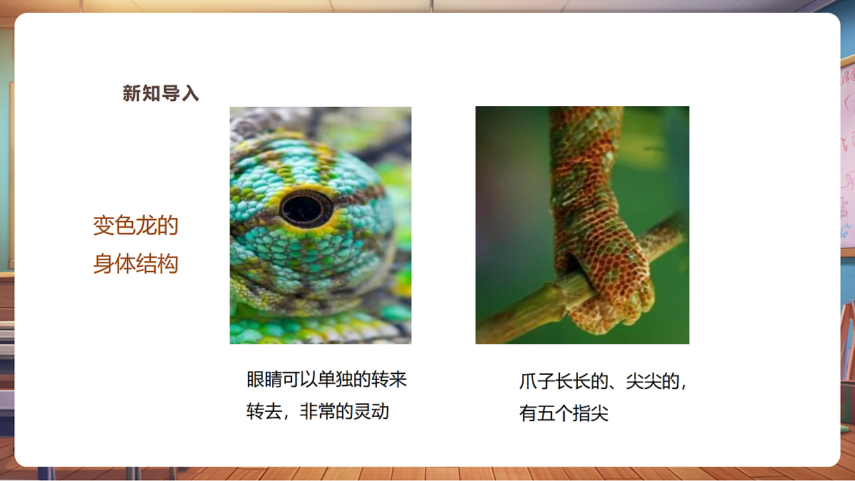 【湘版】美术一年级上册第四单元3小小变色龙课时课件第3页