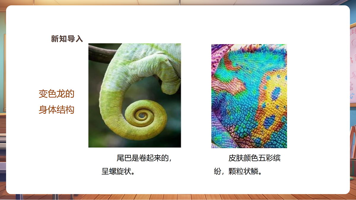 【湘版】美术一年级上册第四单元3小小变色龙课时课件第4页