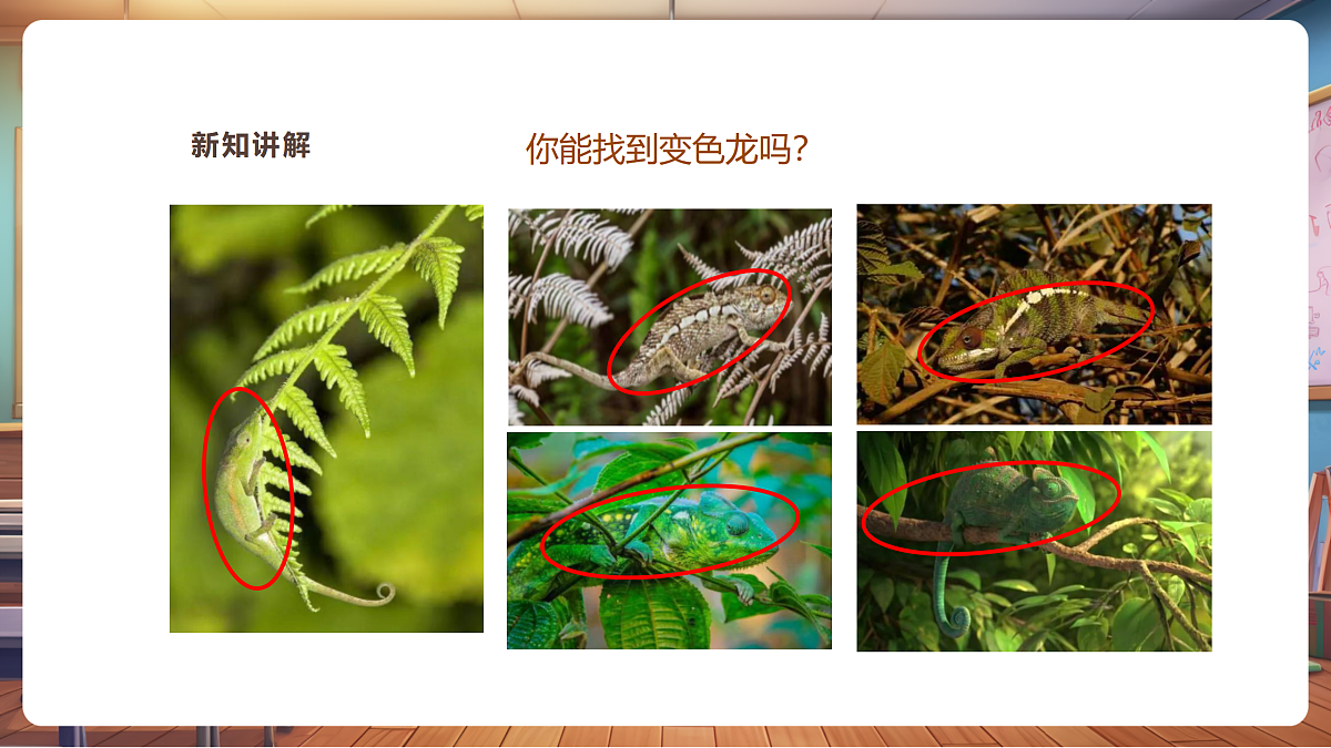 【湘版】美术一年级上册第四单元3小小变色龙课时课件第8页