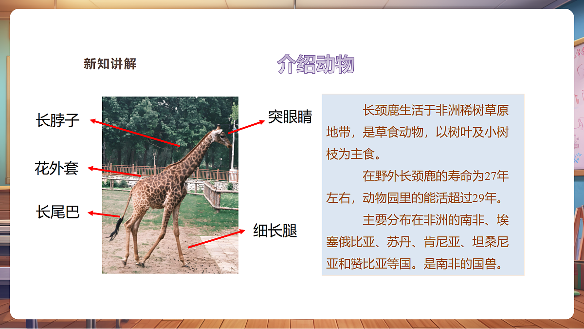 【湘版】美术一年级上册第四单元4动物名片课时课件（27页）第5页