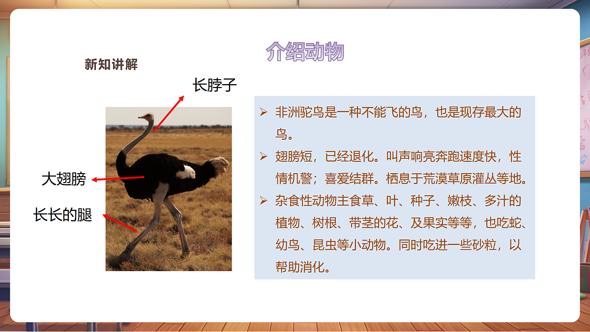 【湘版】美术一年级上册第四单元4动物名片课时课件（27页）第6页