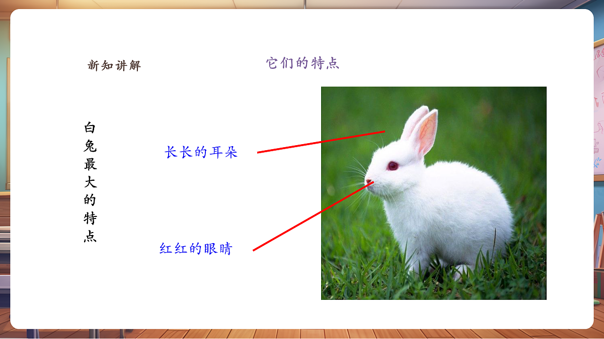 【湘版】美术一年级上册第五单元3猜猜我是谁课时课件第6页