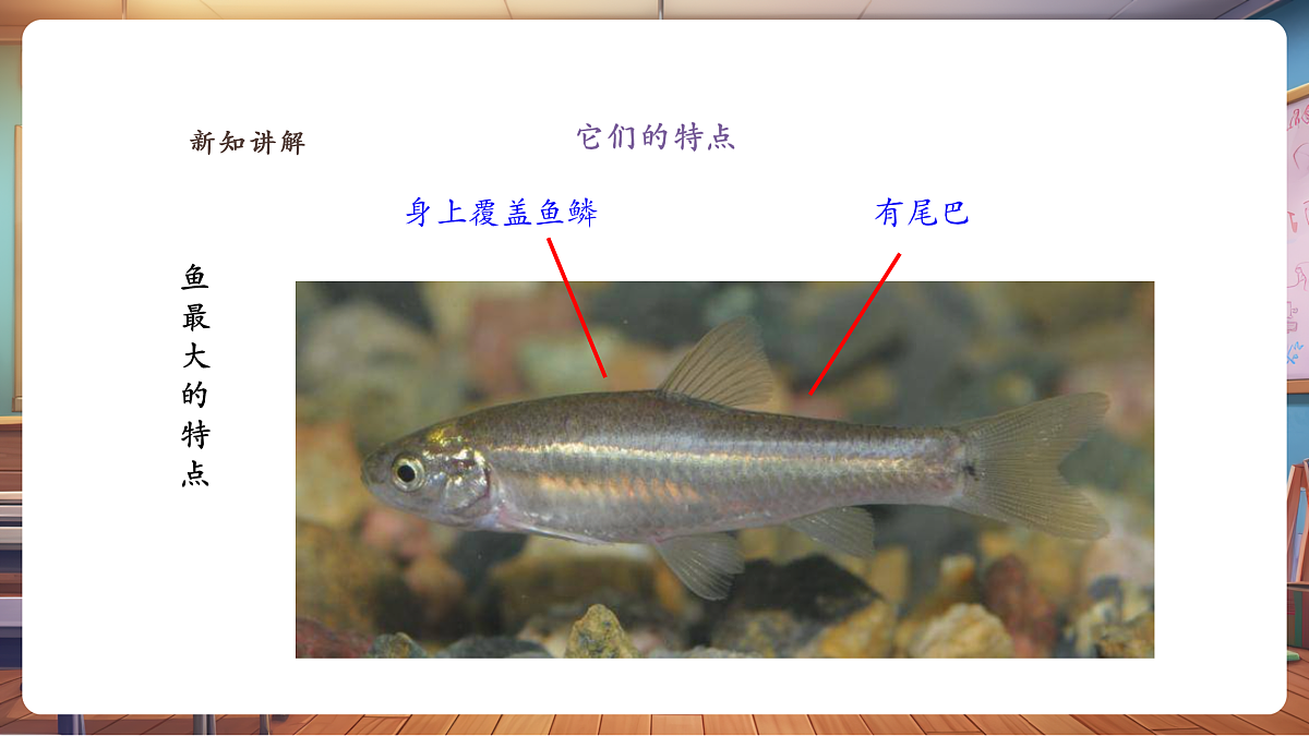 【湘版】美术一年级上册第五单元3猜猜我是谁课时课件第7页
