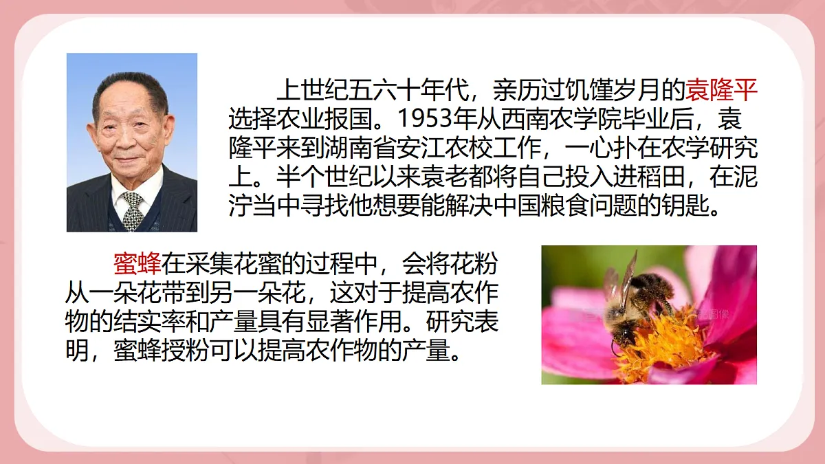 17390989第4页