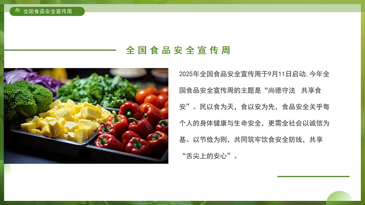 17391533第4页