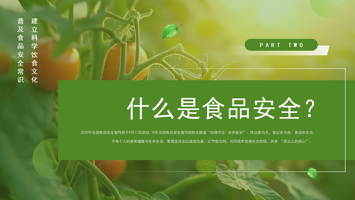 17391533第5页