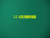 湘科版六年级科学上册 1-2从吃与被吃说起 （课件）