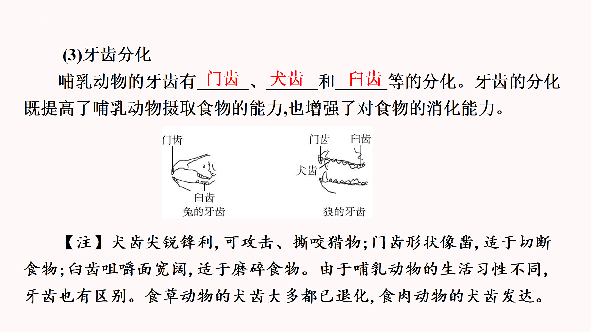 17391746第7页