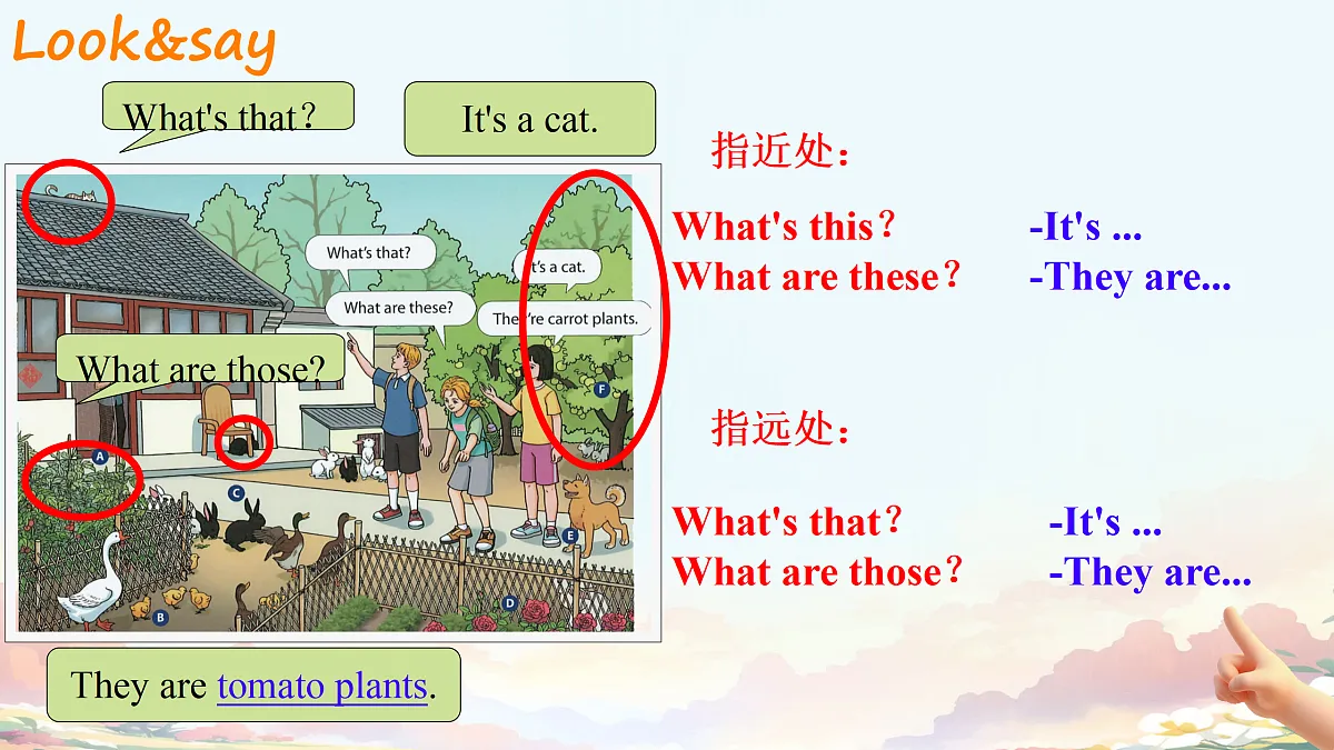 17391851第6页