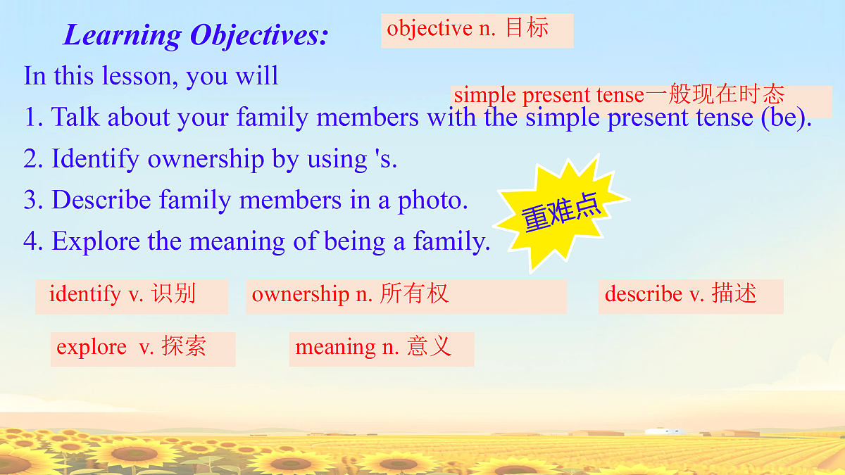 17392494第3页