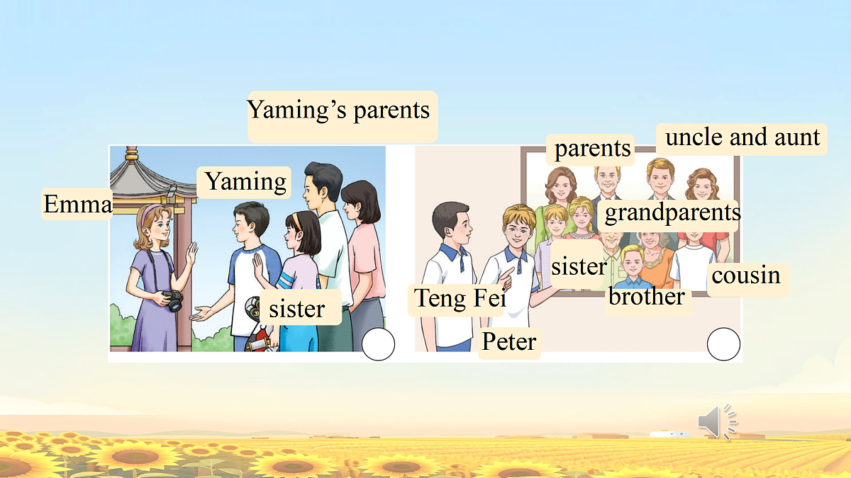 17392494第6页